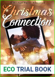Christmas Connection (A Bridge Point Romance, #1)