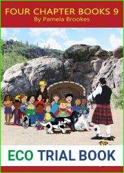 Four Chapter Books 9: (Step 9) Sound Out Books (systematic decodable) Help Developing Readers, including Those with Dyslexia, Learn to Read with Phonics (DOG ON A LOG Chapter Book Collections)