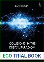 Collisions in the Digital Paradigm: Law and Rule Making in the Internet Age
