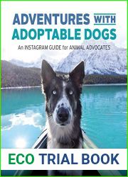 Adventures with Adoptable Dogs: An Instagram Guide for Animal Advocates