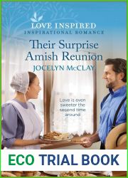 Their Surprise Amish Reunion