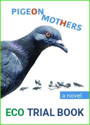 Pigeon Mothers