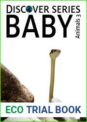 Baby Animals 3