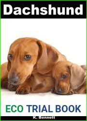 Dachshund: Dog Books for Kids