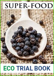 Super-food. Achieve a healthy diet for both body and mind.