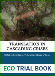 Translation in Cascading Crises