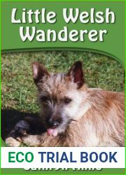 Little Welsh Wanderer