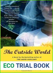 The Outside World by Mirvis, Tova (May 10, 2005) Paperback