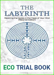 The Labyrinth: Rewiring the Nodes in the Maze of Your Mind (Rewired Edition)