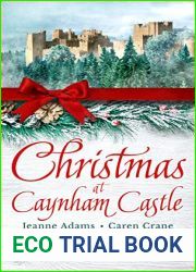 Christmas at Caynham Castle