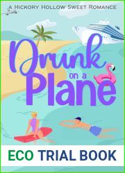 Drunk on a Plane