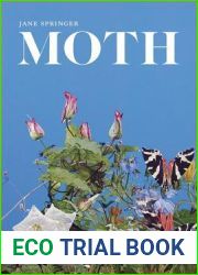 Moth: Poems (Southern Messenger Poets)