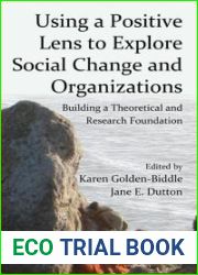 Using a Positive Lens to Explore Social Change and Organizations: Building a Theoretical and Research Foundation