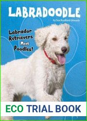 Labradoodle: Labrador Retrievers Meet Poodles! (Top Hybrid Dogs)