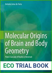 Molecular Origins of Brain and Body Geometry: Plato|s Concept of Reality is Reversed