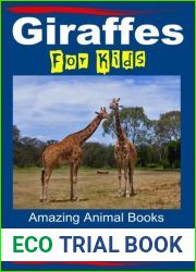 Giraffes For Kids