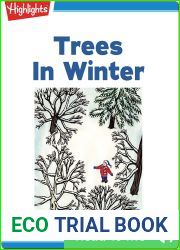 Trees In Winter