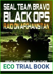 Raid on Afghanistan (SEAL Team Bravo: Black Ops #1)