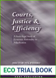 Courts, Justice, and Efficiency: A Socio-legal Study of Economic Rationality in Adjudication