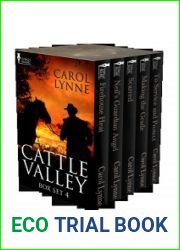 Cattle Valley Box Set 4