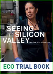Seeing Silicon Valley: Life inside a Fraying America