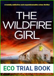 The Wildfire Girl (Detective Amanda Steele Book 11)