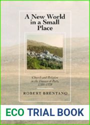 A New World in a Small Place: Church and Religion in the Diocese of Rieti, 1188-1378