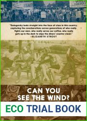 Can You See the Wind?