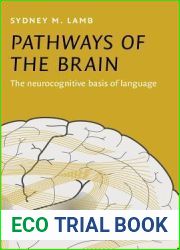 Pathways of the Brain: The neurocognitive basis of language (Current Issues in Linguistic Theory)