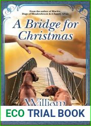 A Bridge for Christmas