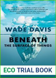 Beneath the Surface of Things: New and Selected Essays
