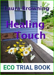 Healing Touch (A Place to Call Home, #1)