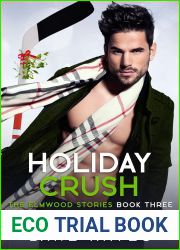 Holiday Crush (The Elmwood Stories, #3)