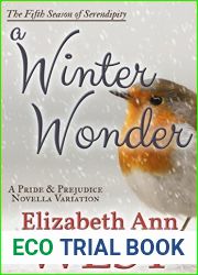 A Winter Wonder (Seasons of Serendipity, #5)