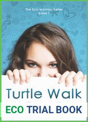 Turtle Walk