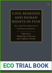 Civil Remedies and Human Rights in Flux: Key Legal Developments in Selected Jurisdictions