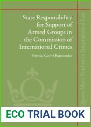 State Responsibility for Support of Armed Groups in the Commission of International Crimes