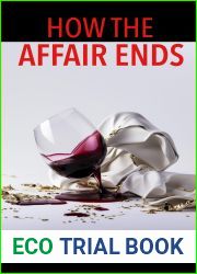 How the Affair Ends: An addictive psychological thriller