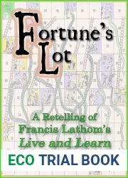 Fortune|s Lot