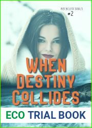 When Destiny Collides (Recycled Souls #2)