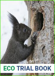 How they live… Rodents: Learn All There Is to Know About These Animals!