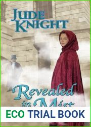 Revealed in Mist