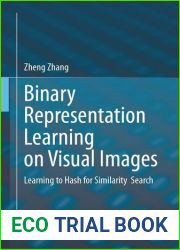 Binary Representation Learning on Visual Images: Learning to Hash for Similarity Search