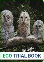 How they live… Owls: Learn All There Is to Know About These Animals!