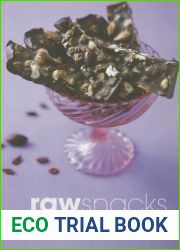 Raw Snacks