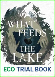 What Feeds The Lake