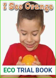 I See Orange (All About Colors: Guided Reading Level: B)