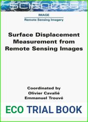 Surface Displacement Measurement from Remote Sensing Images
