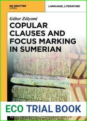 Copular Clauses and Focus Marking in Sumerian