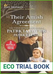 Their Amish Agreement